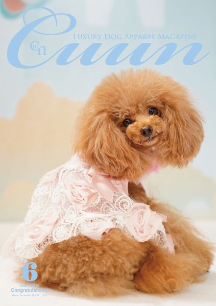 Cuun（クーン） 2019年6月号 (発売日2019年06月10日) 表紙