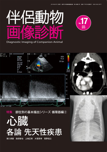 高速配送 犬と猫の画像診断ブック X線・超音波・CT・MRI・内視鏡検査の 