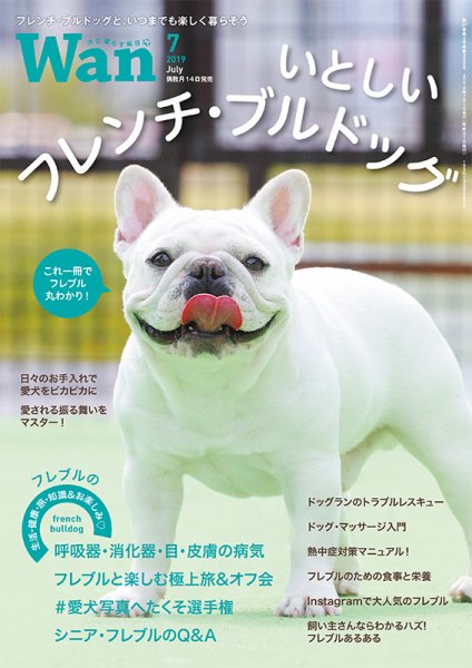 wan（わん） 2019年7月号 (発売日2019年06月14日) 表紙