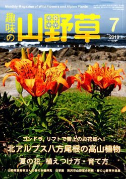 趣味の山野草 19年7月号 発売日19年06月12日 雑誌 定期購読の予約はfujisan