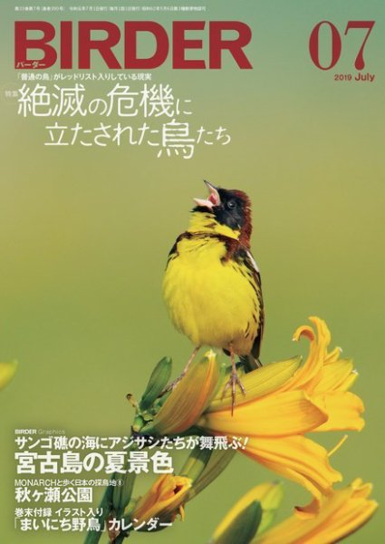 BIRDER（バーダー） 2019年7月号 (発売日2019年06月14日) 表紙