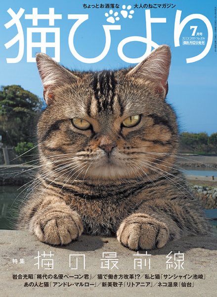 猫びより 2019年7月号 (発売日2019年06月12日) 表紙