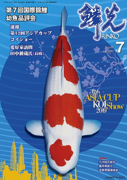 鱗光 2019年06月15日発売号 表紙