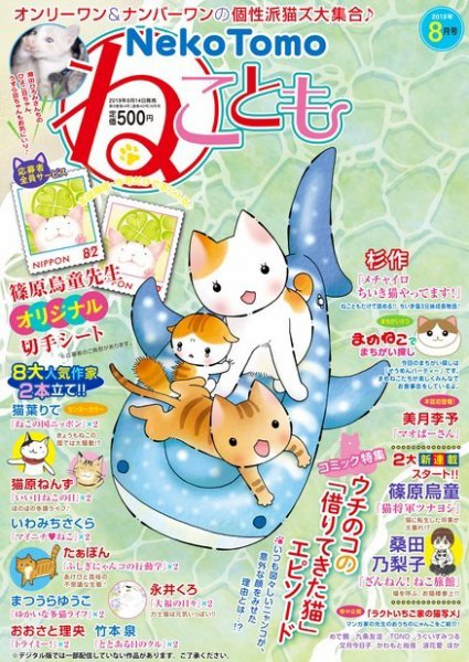 ねことも 2019年8月号 (発売日2019年06月14日) 表紙