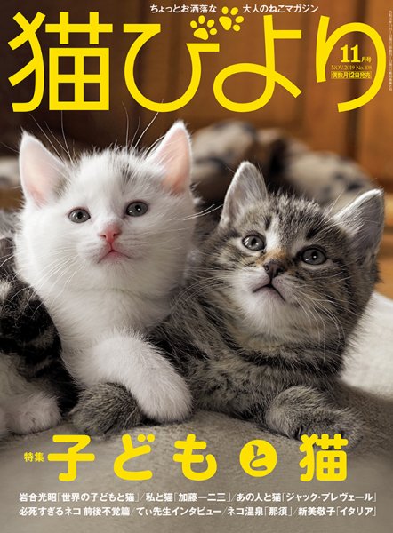 猫びより 2019年11月号 (発売日2019年10月12日) 表紙