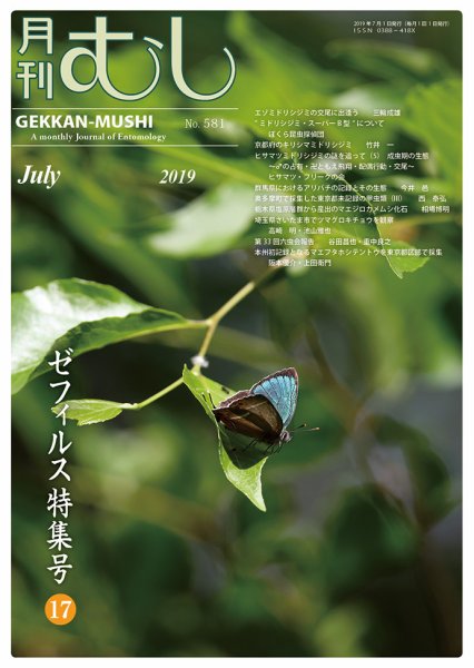 月刊むし 581 (発売日2019年06月22日) 表紙