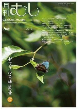 月刊むし 581 (発売日2019年06月22日) | 雑誌/定期購読の予約は