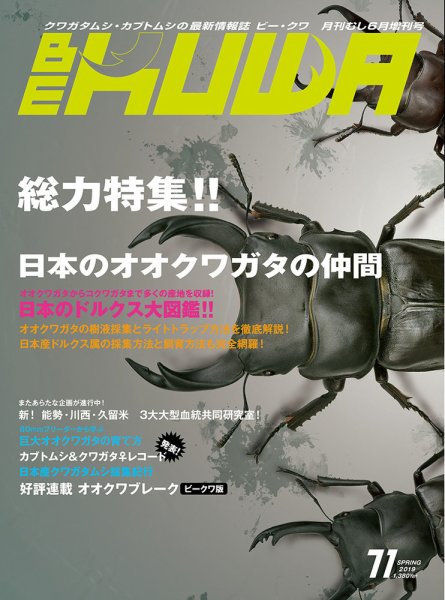 BE-KUWA（ビークワ） 71 (発売日2019年04月16日) | 雑誌/電子書籍/定期