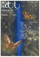 月刊むし 584 表紙
