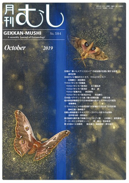 月刊むし 584 (発売日2019年09月24日) 表紙