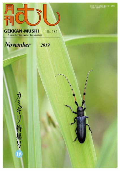 月刊むし 585 (発売日2019年10月20日) 表紙