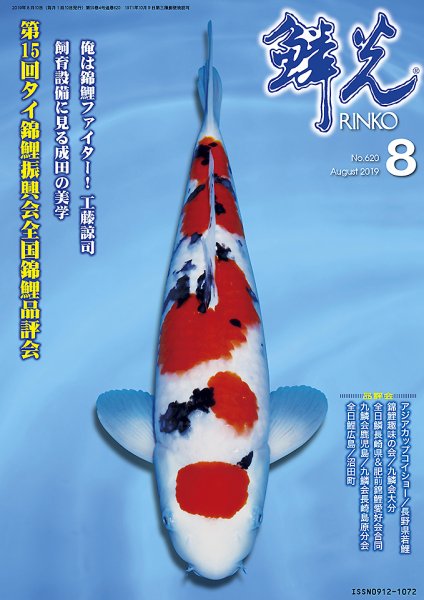鱗光 2019年07月15日発売号 表紙