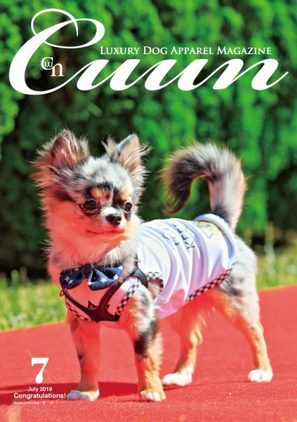 Cuun（クーン） 2019年7月号 (発売日2019年07月10日) 表紙