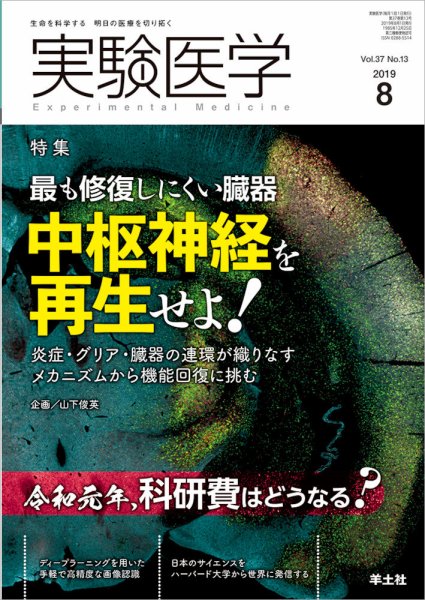 実験医学 Vol.37No.13 (発売日2019年07月20日) 表紙