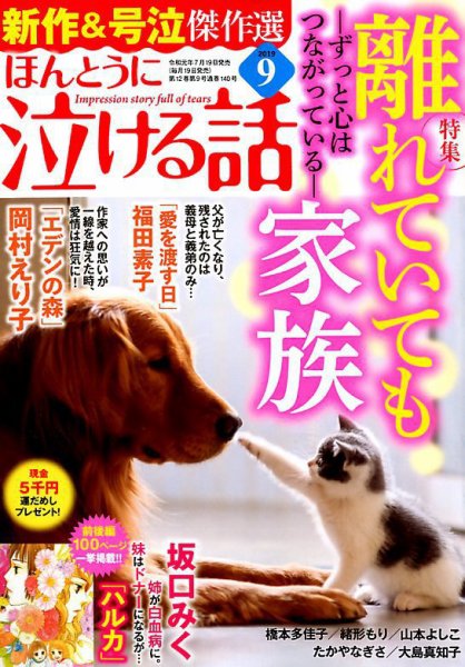 ほんとうに泣ける話 2019年9月号 (発売日2019年07月19日) 表紙