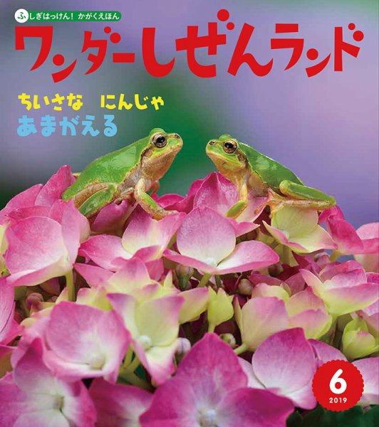 ワンダーしぜんランド 2019年6月号 (発売日2019年06月01日) 表紙