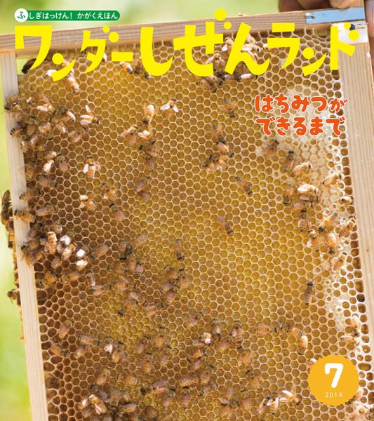 ワンダーしぜんランド 2019年7月号 (発売日2019年07月01日) 表紙