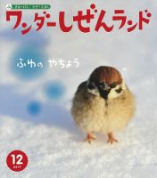 ワンダーしぜんランド 2019年12月号 表紙