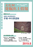 文化財発掘出土情報 459号の表紙