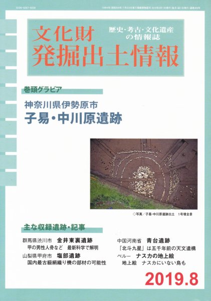文化財発掘出土情報 459号 (発売日2019年08月01日) 表紙