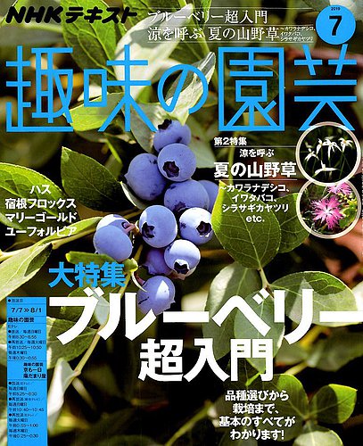 NHK 趣味の園芸 2019年7月号 (発売日2019年06月21日)
