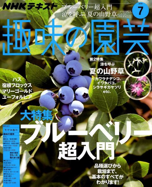 NHK 趣味の園芸 2019年7月号 (発売日2019年06月21日) 表紙