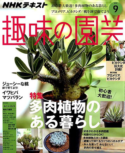 Nhk 趣味の園芸 19年9月号 発売日19年08月21日 雑誌 定期購読の予約はfujisan