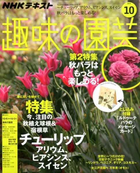NHK 趣味の園芸 2019年10月号 (発売日2019年09月21日) 表紙