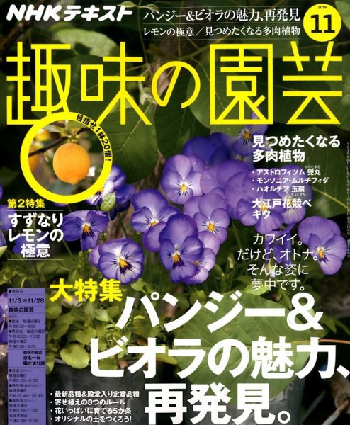 NHK 趣味の園芸 2019年11月号 (発売日2019年10月21日) 表紙