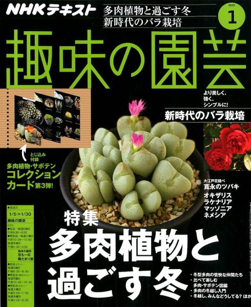 NHK 趣味の園芸 2020年1月号 (発売日2019年12月21日) 表紙
