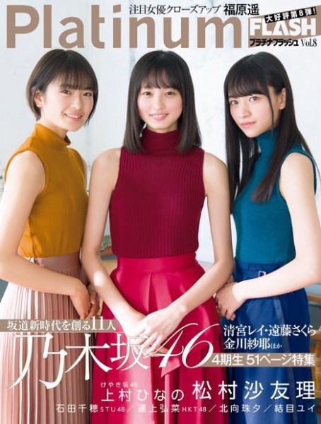 Platinum FLASH（プラチナフラッシュ） Vol.8 (発売日2019年02月08日) 表紙