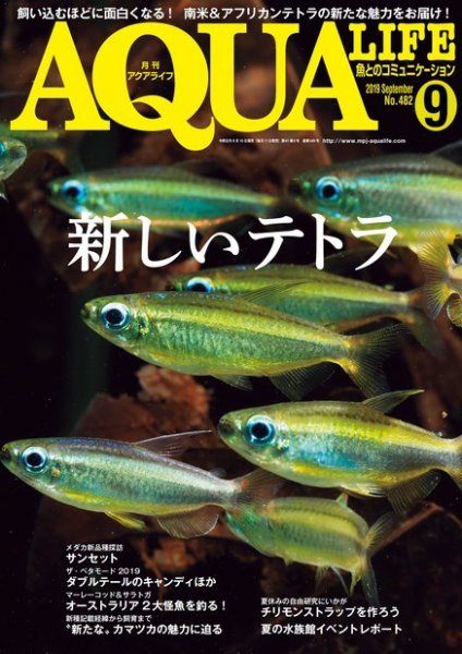アクアライフ 9月号 (発売日2019年08月10日) 表紙