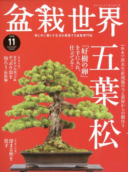 盆栽世界 2019年11月号 (発売日2019年10月04日) 表紙