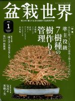 盆栽世界 2020年1月号 表紙