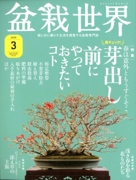 盆栽世界 2020年3月号 (発売日2020年02月04日) 表紙