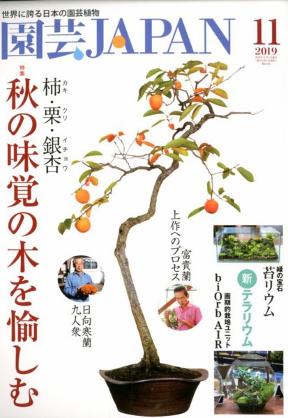 園芸Japan 2019年11月号 (発売日2019年10月12日) 表紙