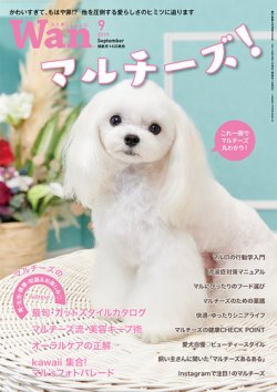 Wan わん 19年9月号 発売日19年08月10日 雑誌 電子書籍 定期購読の予約はfujisan