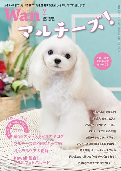wan（わん） 2019年9月号 (発売日2019年08月10日) 表紙