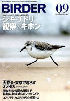 BIRDER（バーダー） 2019年9月号 表紙