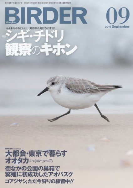BIRDER（バーダー） 2019年9月号 (発売日2019年08月16日) 表紙