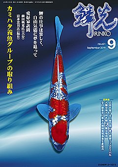 鱗光 2019年08月15日発売号 表紙
