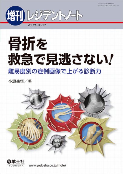 レジデントノート Vol.21No.17 (発売日2020年01月20日) 表紙