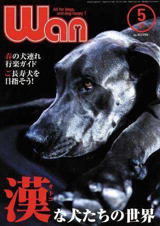 wan（わん） 2008年5月号 (発売日2008年04月14日) 表紙