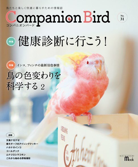 コンパニオンバード NO.31 (発売日2019年06月13日) 表紙