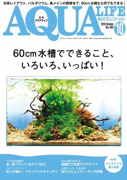アクアライフ 10月号 (発売日2019年09月11日) 表紙