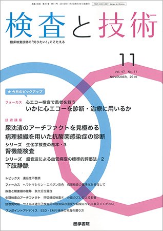 検査と技術 Vol.47 No.11 (発売日2019年11月01日) 表紙