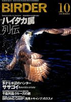 BIRDER（バーダー） 2019年10月号 表紙