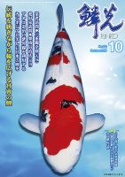 鱗光 表紙