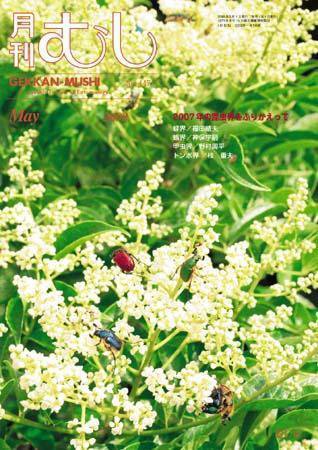 月刊むし 447 (発売日2008年04月20日) 表紙