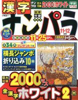ナンパラ 2019年11月号 (発売日2019年09月26日) 表紙